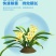 70%高含量甲基硫菌灵果树蔬菜黄瓜白粉病农用杀菌剂正品