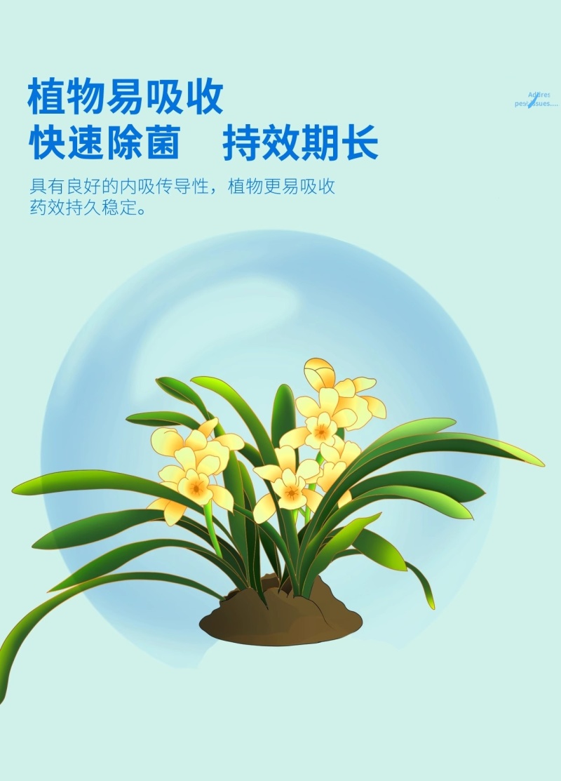 70%高含量甲基硫菌灵果树蔬菜黄瓜白粉病农用杀菌剂正品