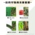 正品百农思达30%高含量甲霜·恶霉灵农用水稻黄瓜立枯病杀