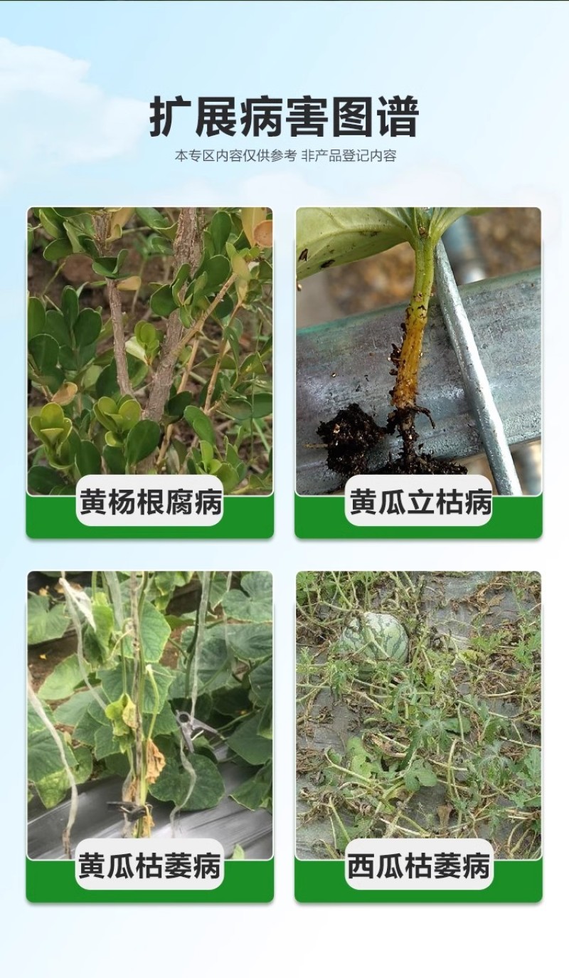 正品百农思达30%高含量甲霜·恶霉灵农用水稻黄瓜立枯病杀