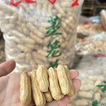 蒸笼花生广东厂家直供质量保证资质齐全只做珠三角