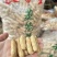 蒸笼花生广东厂家直供质量保证资质齐全只做珠三角