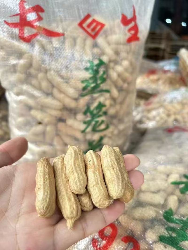 蒸笼花生广东厂家直供质量保证资质齐全只做珠三角