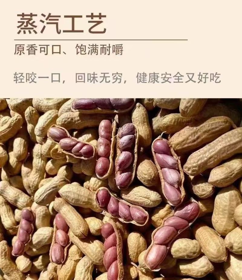 蒸笼花生广东厂家直供质量保证资质齐全只做珠三角