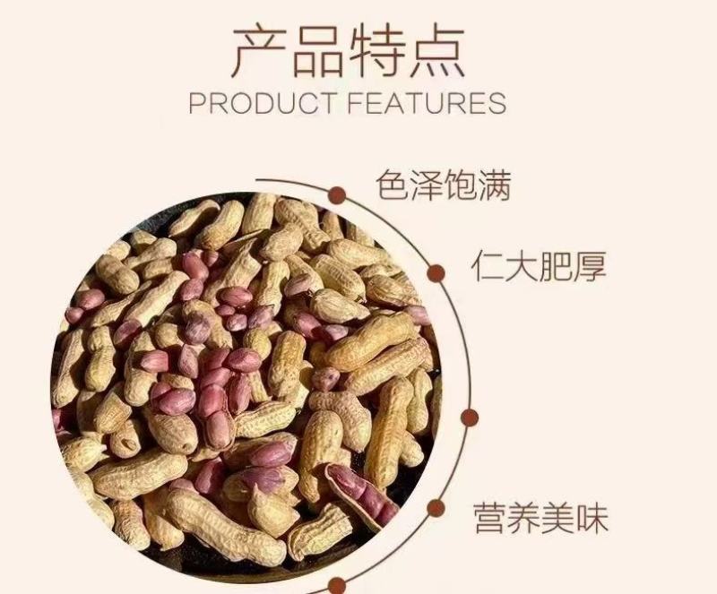 蒸笼花生广东厂家直供质量保证资质齐全只做珠三角