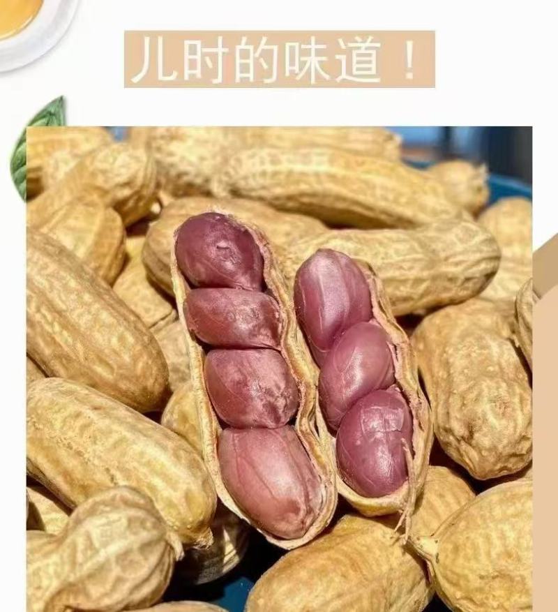 蒸笼花生广东厂家直供质量保证资质齐全只做珠三角