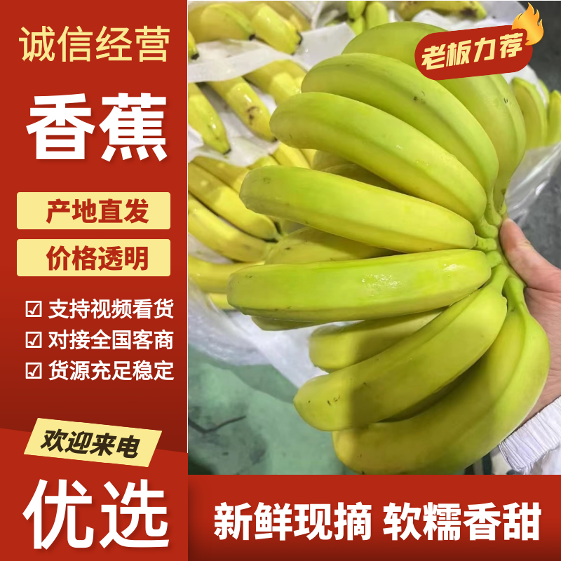 【香蕉】河口香蕉菲律宾进口青蕉二黄蕉一手批发现货发货
