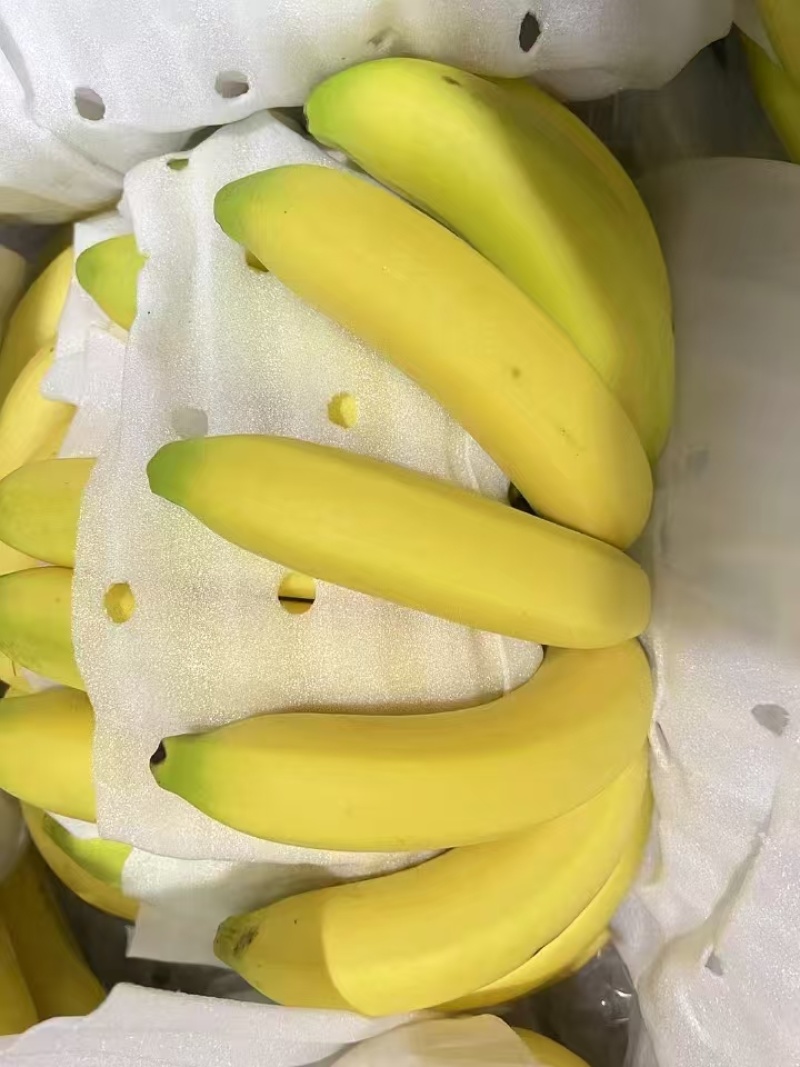 【香蕉】河口香蕉菲律宾进口青蕉二黄蕉一手批发现货发货