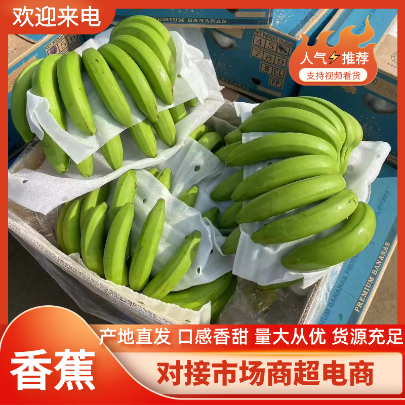【香蕉】河口香蕉一级精品二黄蕉青蕉无花皮无黑心无硬心