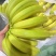 【香蕉】河口香蕉一级精品二黄蕉青蕉无花皮无黑心无硬心