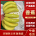 小米蕉香蕉菲律宾进口二黄蕉大量供应提供售后保障