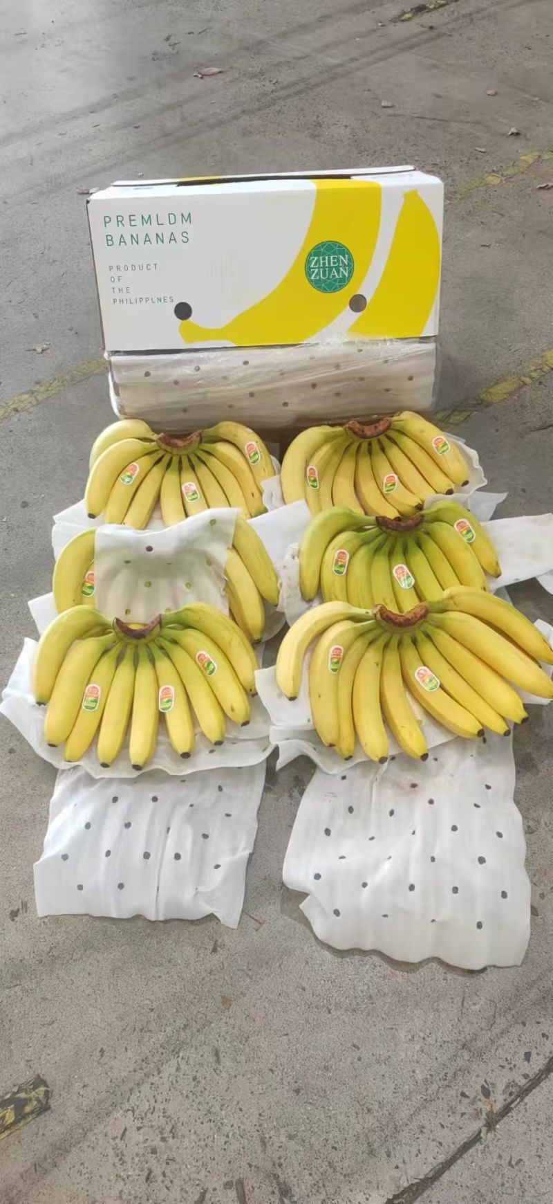 小米蕉香蕉菲律宾进口二黄蕉大量供应提供售后保障