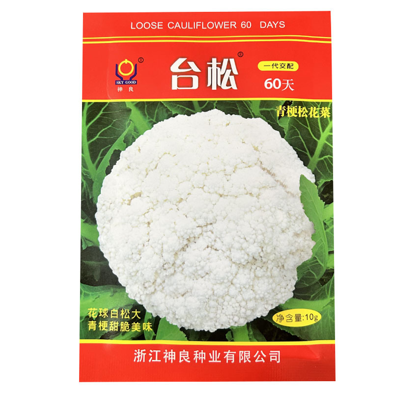 台松60天青梗松花菜种子早熟白花球耐热耐湿大田基地