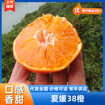 湖北宜昌爱媛38橙产地一手，新鲜货源视频看货，对接全国