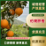 湖北宜昌伦晚脐橙产地一手，新鲜货源视频看货，对接全国