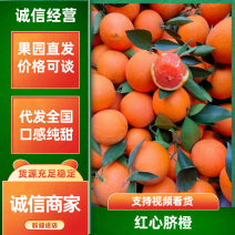 湖北宜昌红心脐橙产地一手，新鲜货源视频看货，对接全国