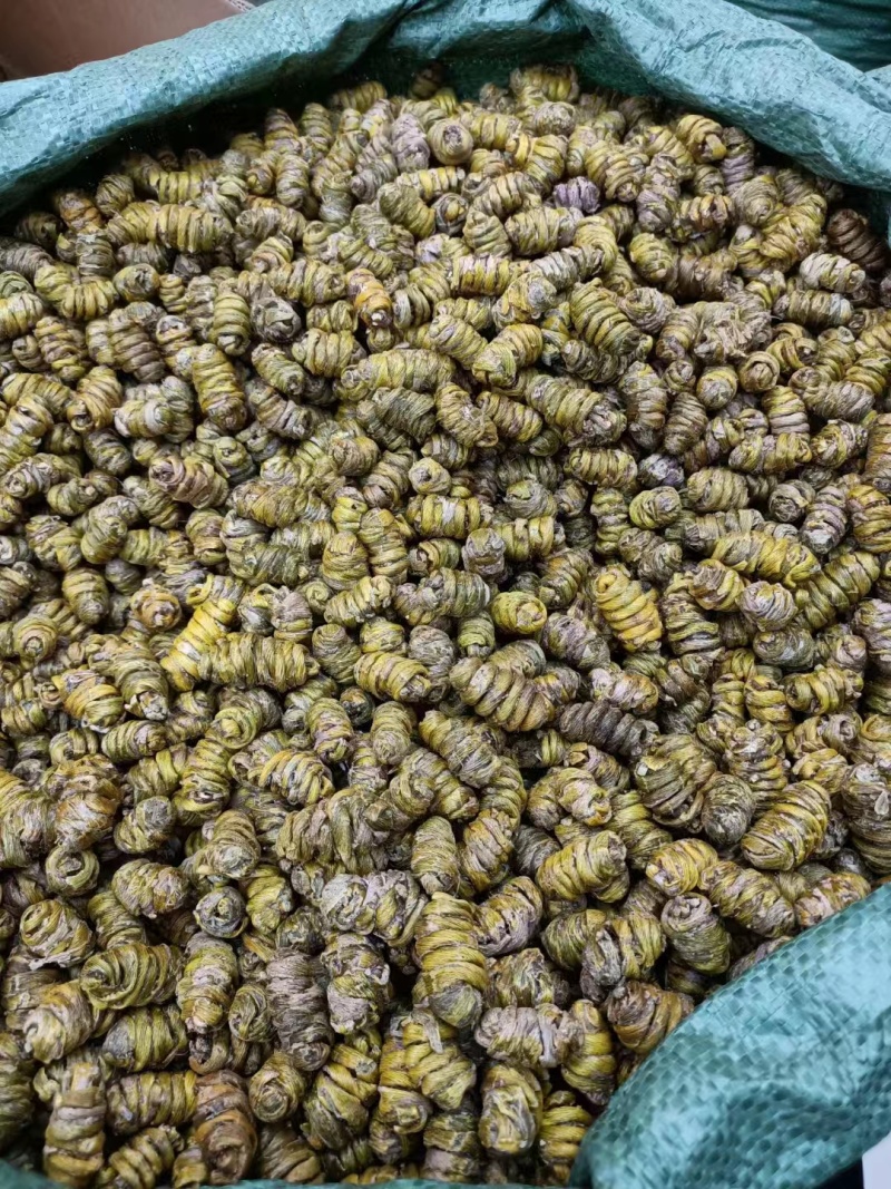 铁皮石斛枫斗紫皮石斛枫斗铁皮石斛打粉条大量现货出售