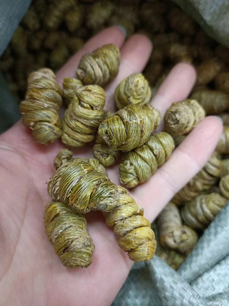 铁皮石斛枫斗紫皮石斛枫斗铁皮石斛打粉条大量现货出售