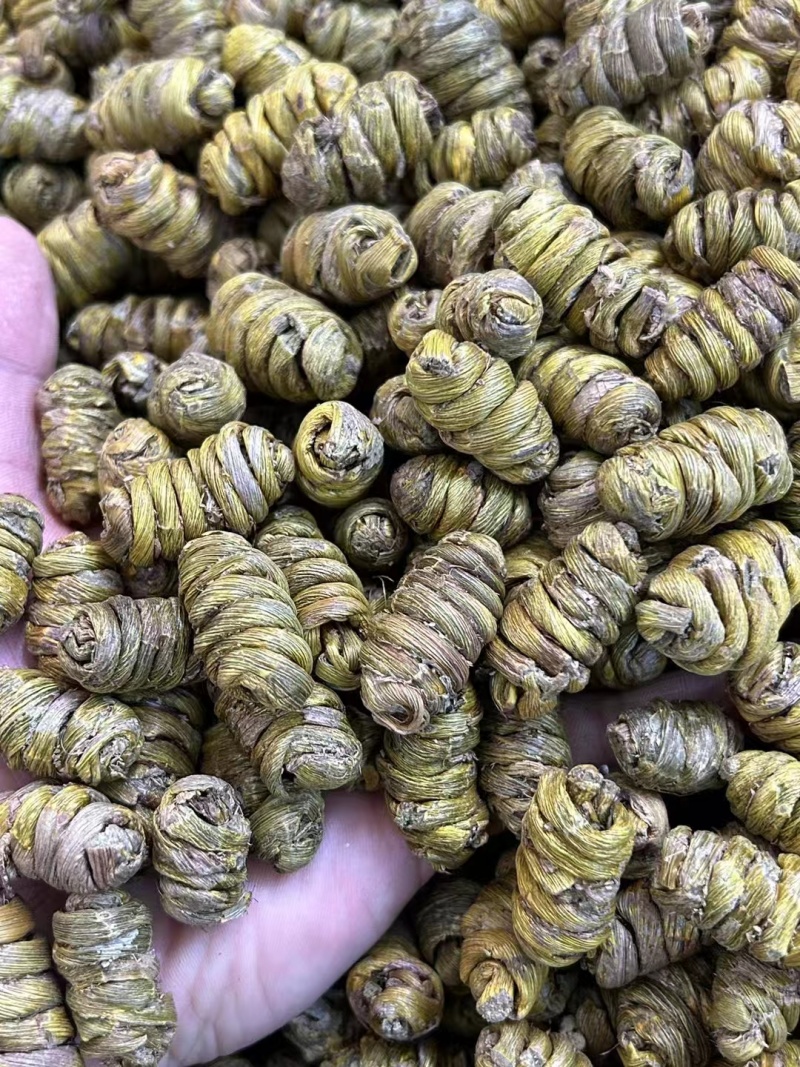 铁皮石斛枫斗紫皮石斛枫斗铁皮石斛打粉条大量现货出售