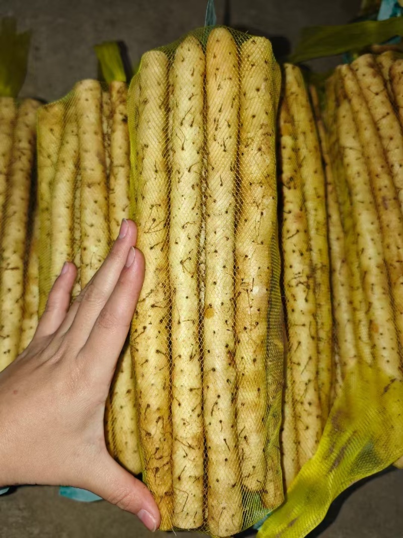 山药