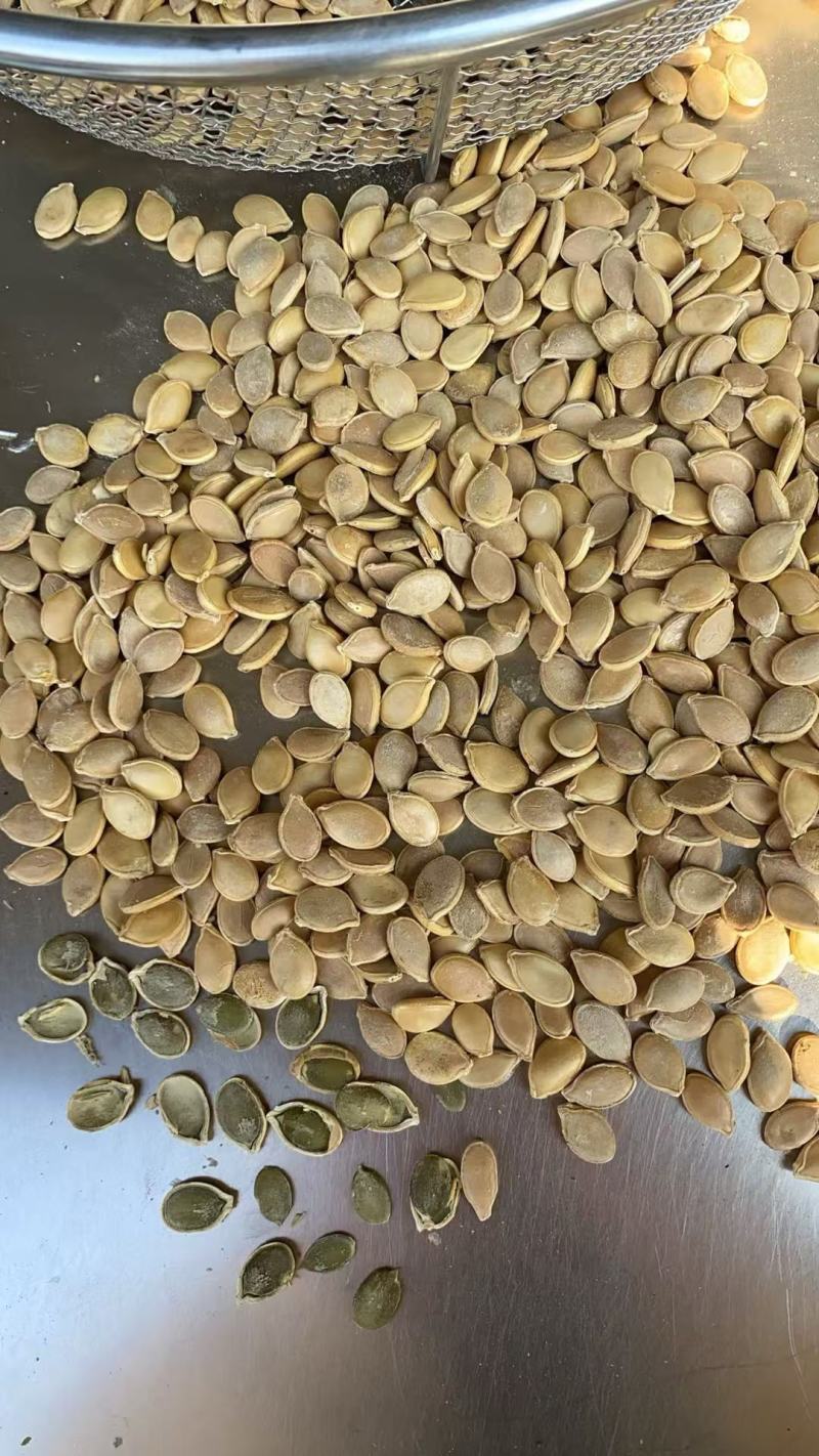 【牛商推荐】精品南瓜子货源充足自然晾晒品质上等