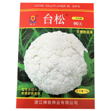 台松90天松花菜种子青梗白花菜耐寒抗病大田基地种植