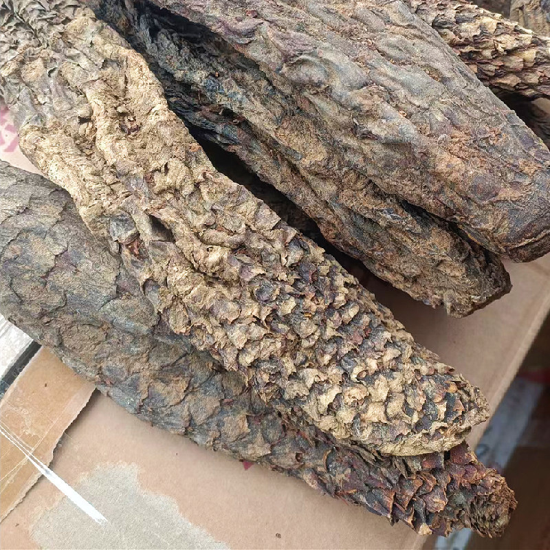 新疆肉苁蓉大芸干货泡茶泡水料沙漠人参硬质短条新货包邮批发