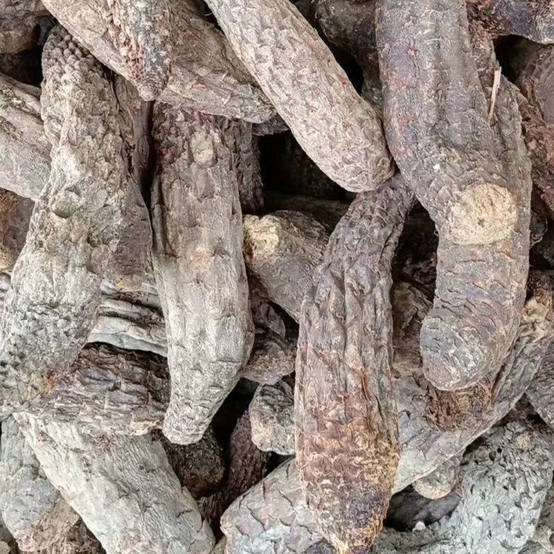 新疆肉苁蓉大芸干货泡茶泡水料沙漠人参硬质短条新货包邮批发