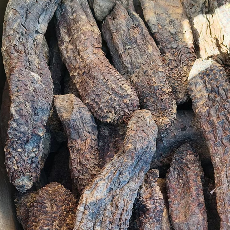 新疆肉苁蓉大芸干货泡茶泡水料沙漠人参硬质短条新货包邮批发