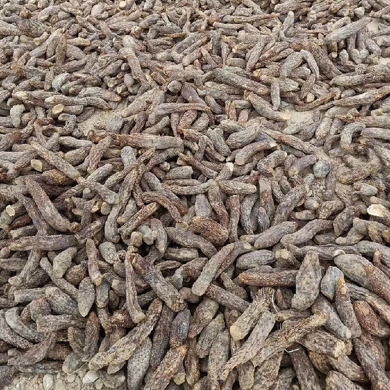 新疆肉苁蓉大芸干货泡茶泡水料沙漠人参硬质短条新货包邮批发