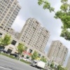 游客1887的一亩田店铺
