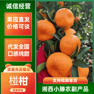 【老板好客】椪柑协助装车价格电议水分充足来电咨询