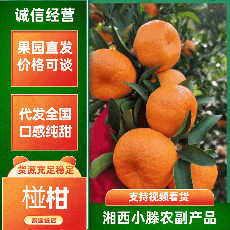 【老板好客】椪柑协助装车价格电议水分充足来电咨询