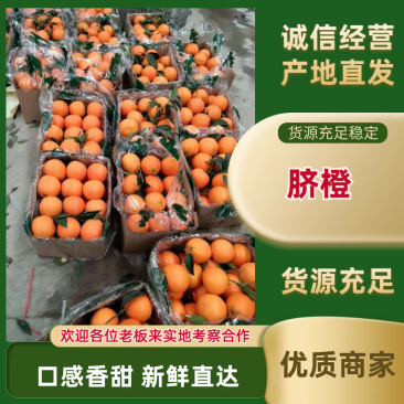 【脐橙橙子】个大皮薄，火红色，纯甜，诚信经营，果园看货