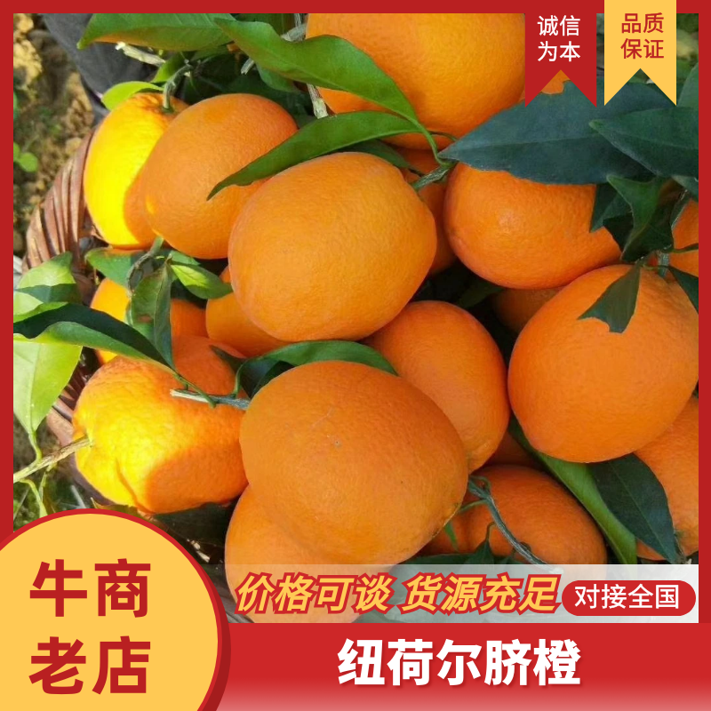 纽荷尔脐橙，果型漂亮，汁多味甜，产地一手货源，货源充足，
