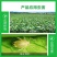 正品沪联70%吡虫啉爱美乐比虫灵蚜虫蔬菜杀虫剂农药