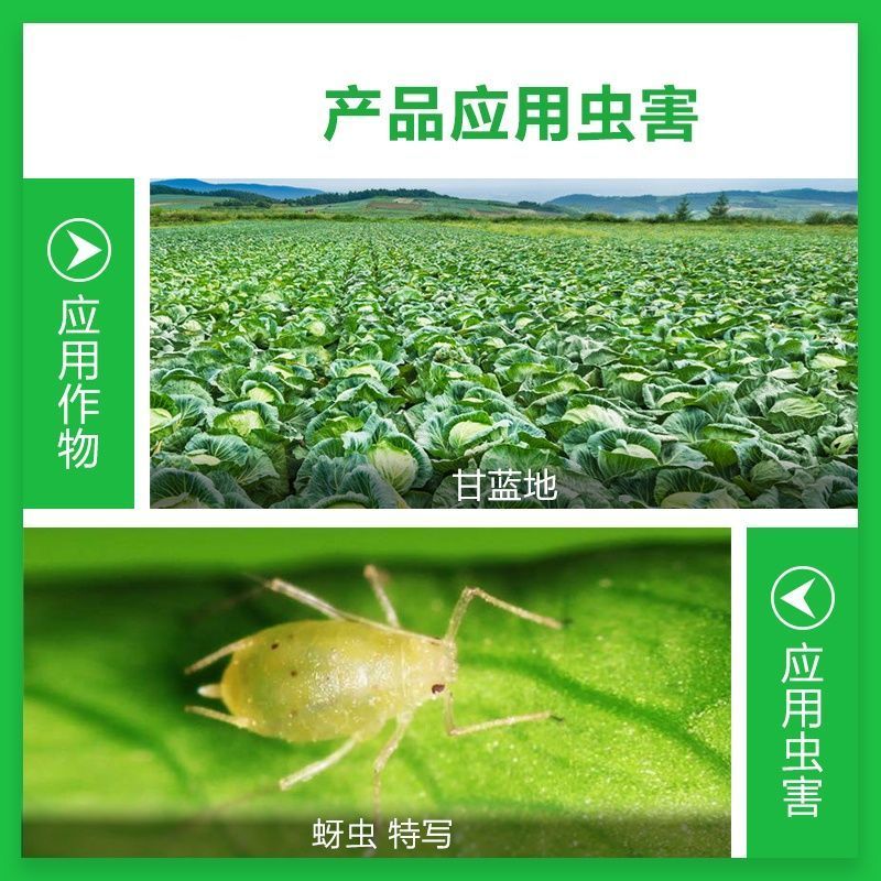 正品沪联70%吡虫啉爱美乐比虫灵蚜虫蔬菜杀虫剂农药
