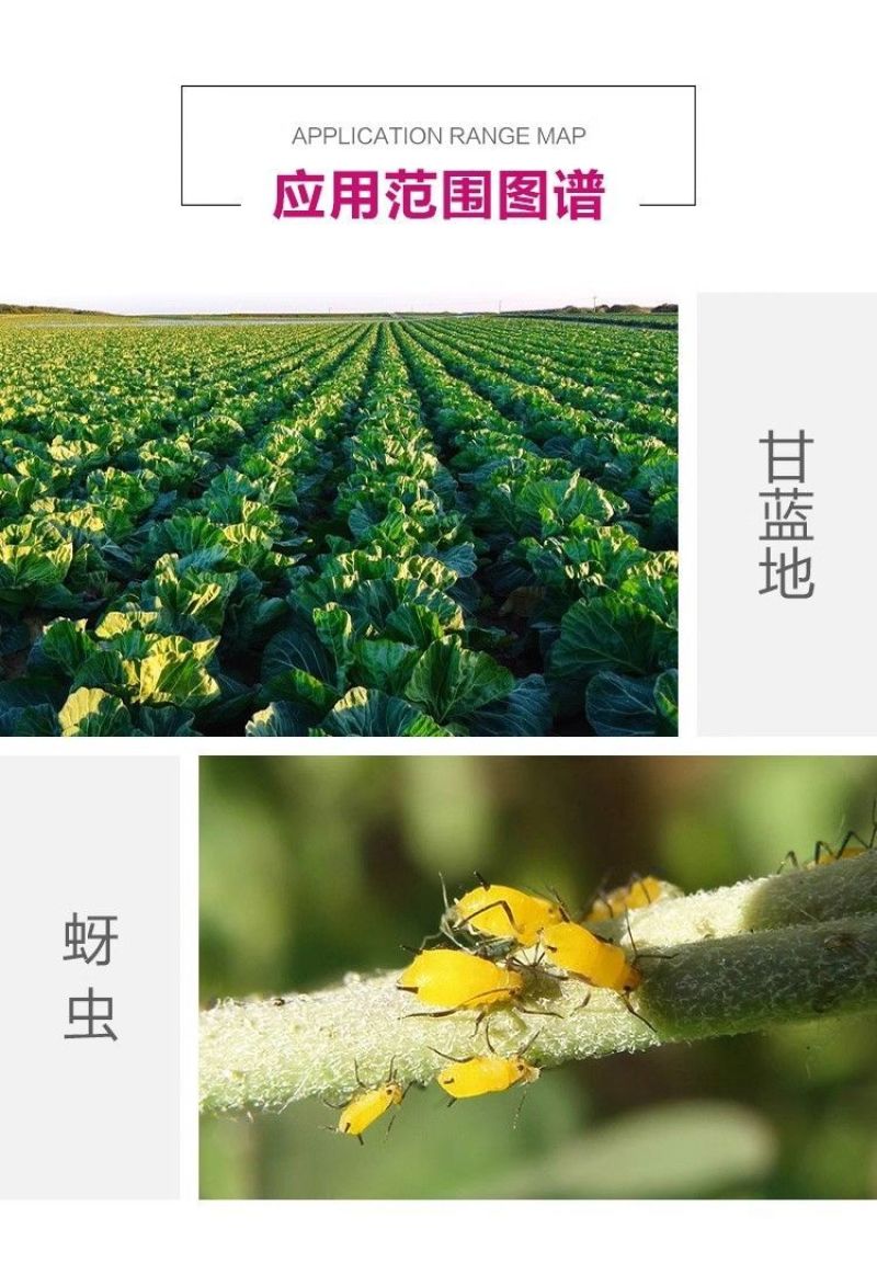 正品沪联70%吡虫啉爱美乐比虫灵蚜虫蔬菜杀虫剂农药
