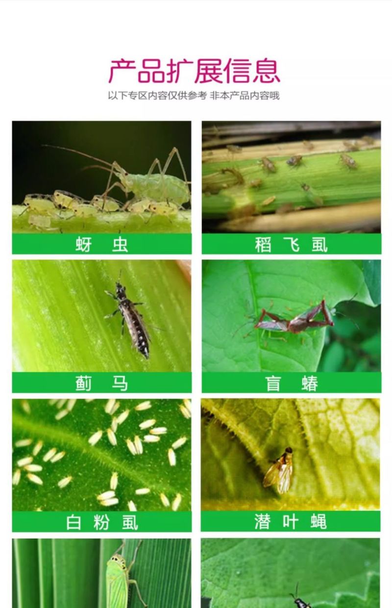 正品沪联70%吡虫啉爱美乐比虫灵蚜虫蔬菜杀虫剂农药