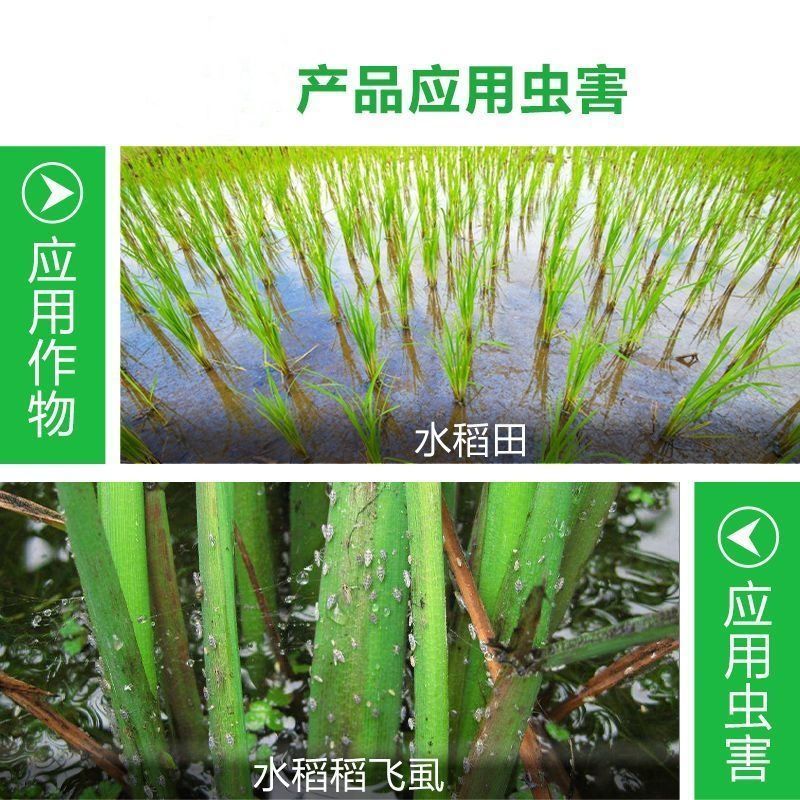 沪联歼飞80%烯啶吡蚜酮烯啶虫胺吡蚜酮正牌水稻稻飞虱专用