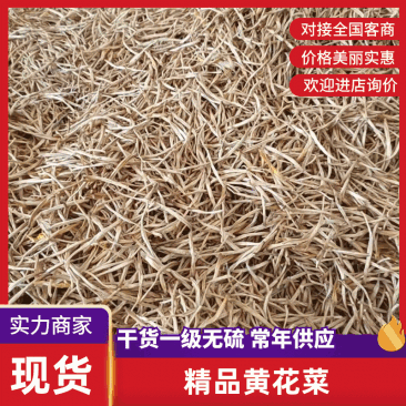 精品2025新品黄花菜货源充足产地直供质量保证欢迎咨询