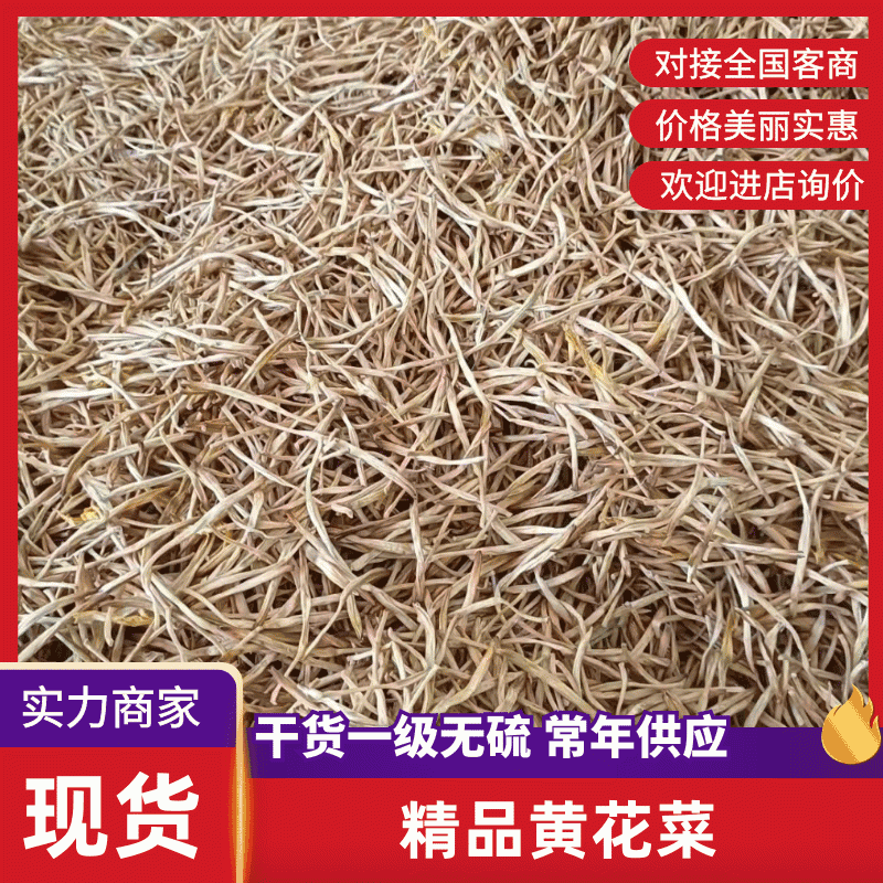精品2025新品黄花菜货源充足产地直供质量保证欢迎咨询