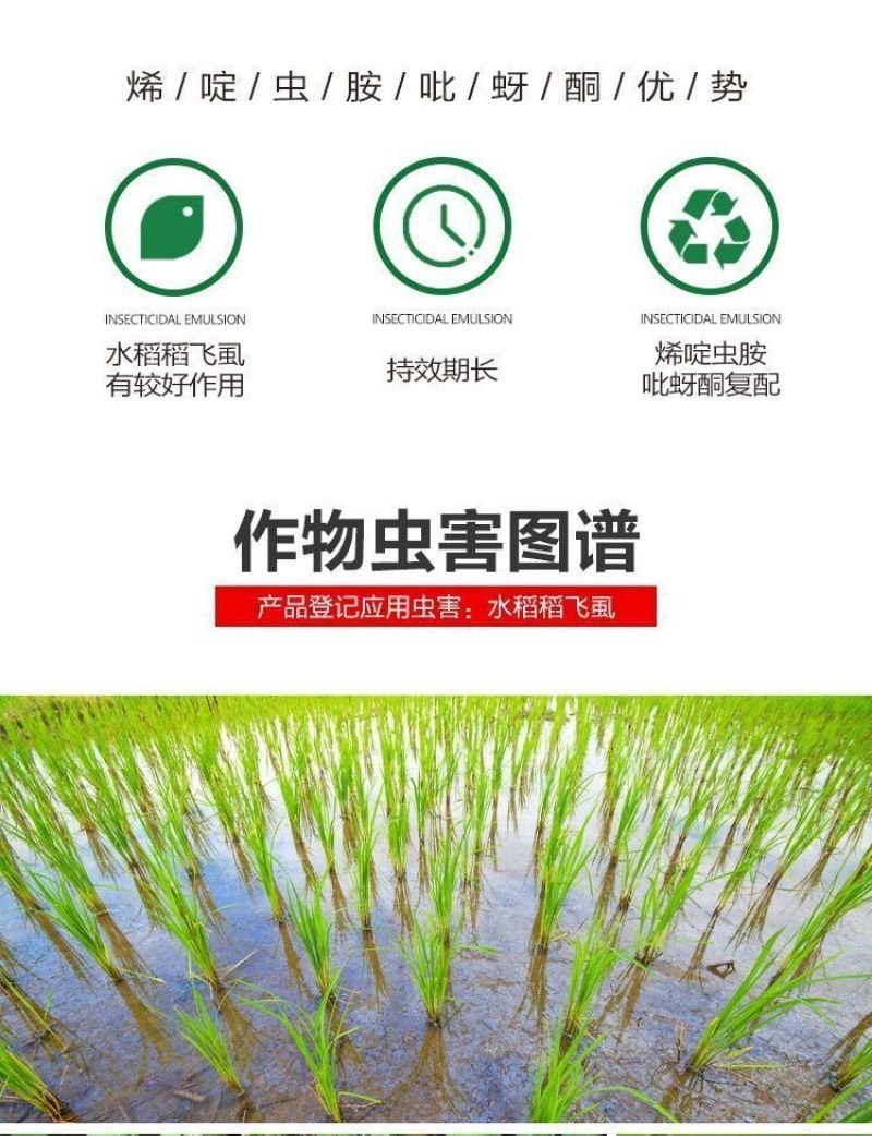 沪联歼飞80%烯啶吡蚜酮烯啶虫胺吡蚜酮正牌水稻稻飞虱专用