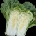 黄心白菜团队协助装车按需包装进店联系