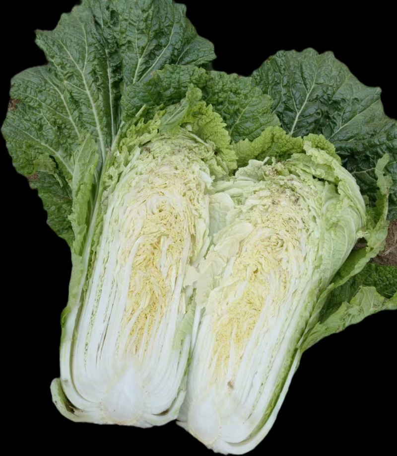 黄心白菜团队协助装车按需包装进店联系