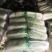 黄心白菜团队协助装车按需包装进店联系