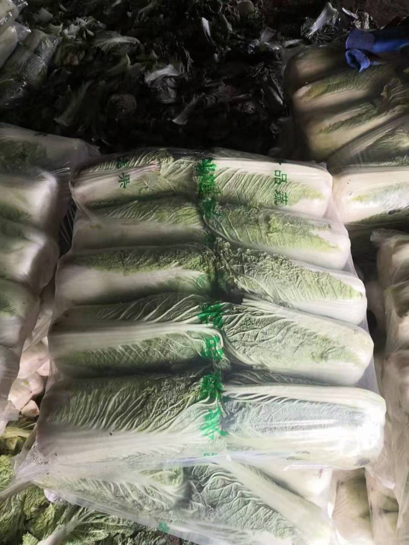 黄心白菜团队协助装车按需包装进店联系