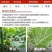 沪联赛安70%啶虫脒黄瓜蚜虫水分散粒剂农用专用触杀杀虫