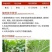 沪联赛安70%啶虫脒黄瓜蚜虫水分散粒剂农用专用触杀杀虫