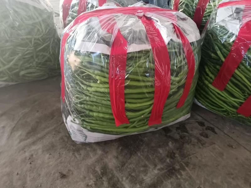 陕西辣椒/线椒/产地直发/量大价优/可视频看货/欢迎致电
